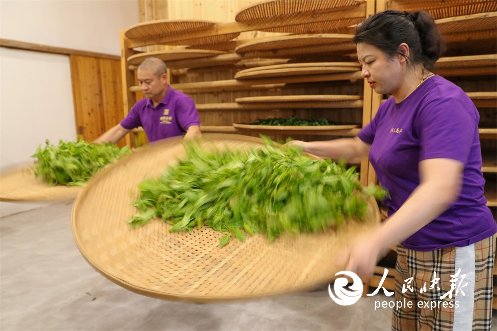 1749002540842336.jpg 2.jpg