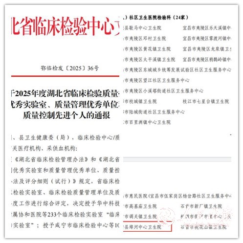 省级荣誉！埠河中心卫生院检验科获评湖···